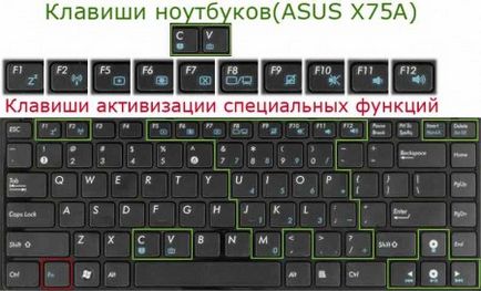 Ключови лаптоп клавиатура ASUS, компютър плюс интернет