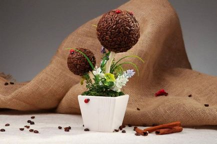 Кафе дървета Topiary как да създадете свои ръце (дървета) Кафе дървета Topiary как да създадете свои ръце
