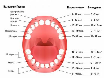 При падане млечни зъби при деца последователност и времето