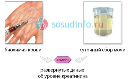 Креатинин е норма в кръвта, повишен, понижава