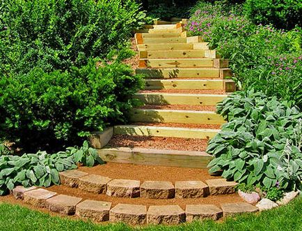 Озеленяване на терени с наклон - ние организираме градина стълби, моите идеи за градината и градината