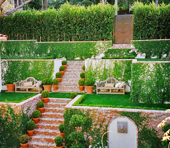 Озеленяване на терени с наклон - ние организираме градина стълби, моите идеи за градината и градината