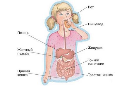 Giardia в детски характерни симптоми и подходящо третиране