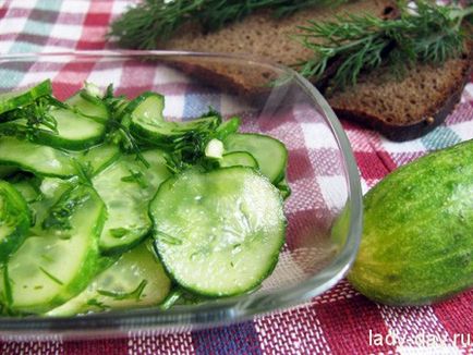 Солени краставици бързо хранене, прости рецепти със снимки