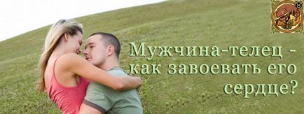 Мъжките клетки - как да спечелите, как да се влюби в бик