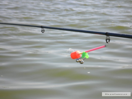Какво да извършват риболов във водоеми