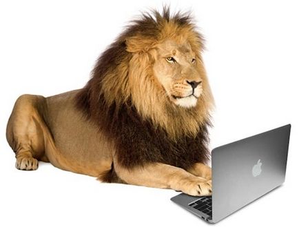 ябълка MacBook лаптопи как да си изберете