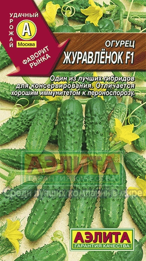 Краставица zhuravlenok f1 - Пакетирани семена на зеленчуци на едро, земеделска компания Aelita