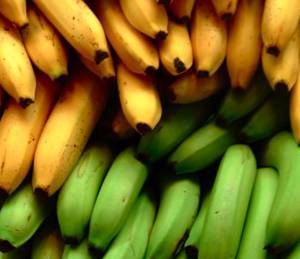 Ползите и опасностите от банани
