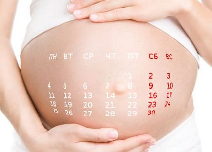 Лично седмица на бременността календар от седмица