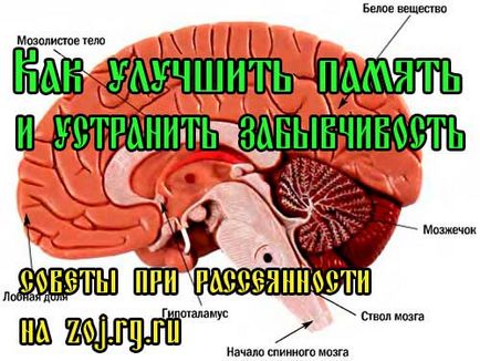 Лош памет и отвличане на вниманието - как да се подобри функционирането на мозъка и подобряване на вниманието, лечение в домашни условия