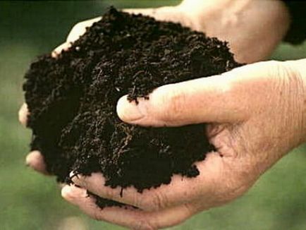 Почвата в страната, от която плодородието на почвата зависи от начините за подобряване на