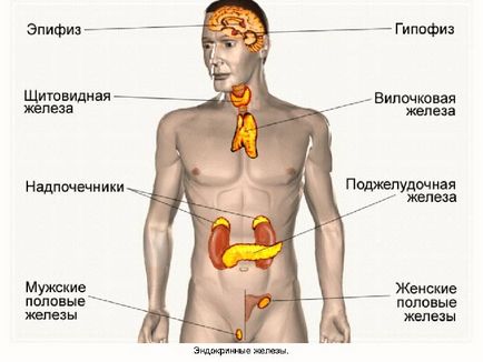 Панкреас как боли и когато лицето