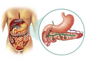 Панкреасът е човек, когато е налице, неговата структура и функция и е възможно заболяване