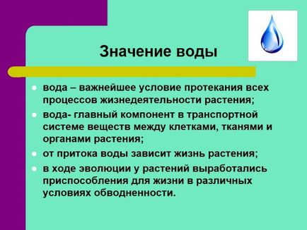 Напояване на градини - машини със собствените си ръце правилата за съставяне и монтаж!