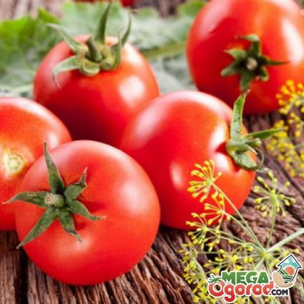 Правилното отглеждане на здрави разсад от домати у дома
