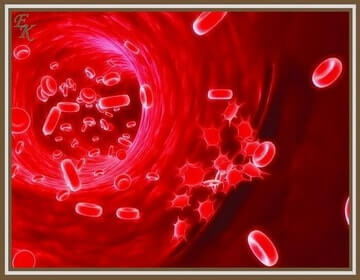 Причини за образуването на кръвни съсиреци, предотвратяване образуването на кръвни съсиреци