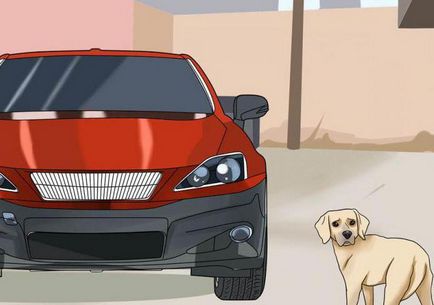 Знак почука на кучето с кола