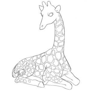 Петна и рога, или как да се направи жираф