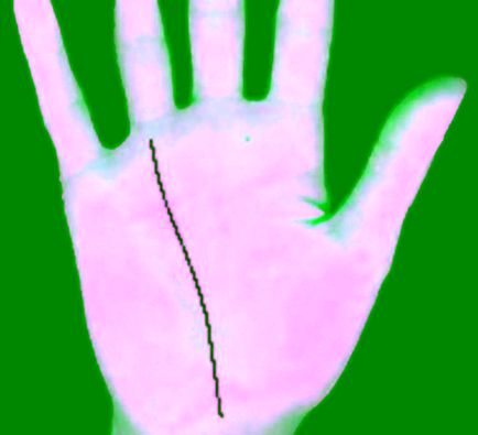 Дешифрирането въдици върху дланта на вашата съдба