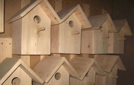 Размери къщичка за птици как да се направи дизайна на дърво, здраве локатор