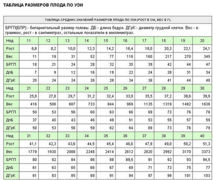 Размерът на плода малкия мозък от седмица