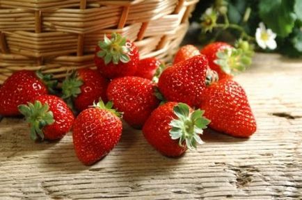 Откъде да започнем да растителни ягоди - растения - плодове и зеленчуци