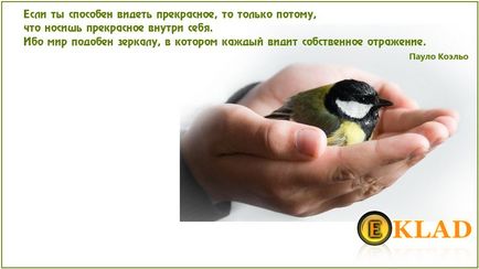 Птица в ръката е по-добре от две в храстите, лов съкровище от А до Я