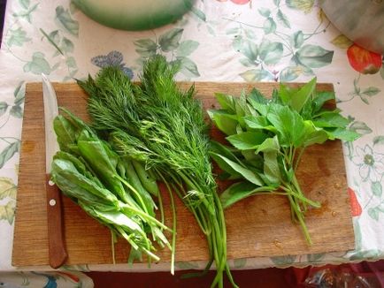 Goutweed полезни терапевтични свойства, противопоказания и за прилагане (Goutweed една чаша) Goutweed полезни и терапевтични свойства, противопоказания, и прилагане