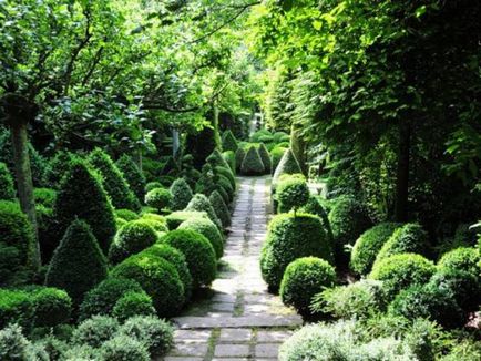 Създаване Topiary как да се направи дървета на щастието