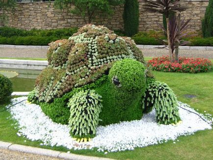 Създаване Topiary как да се направи дървета на щастието