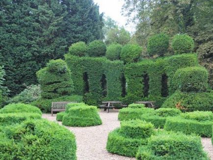 Създаване Topiary как да се направи дървета на щастието