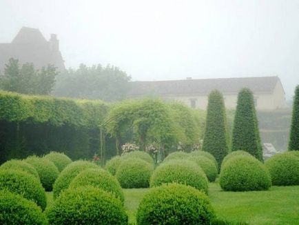 Създаване Topiary как да се направи дървета на щастието