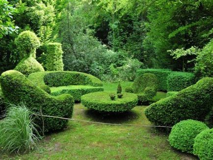 Създаване Topiary как да се направи дървета на щастието