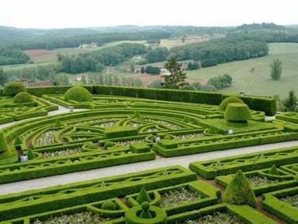 Създаване Topiary как да се направи дървета на щастието