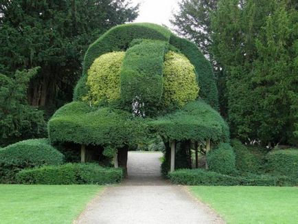 Създаване Topiary как да се направи дървета на щастието