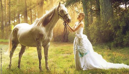 Сватбена фотосесия с коне - идеята за провеждане, примери и снимки