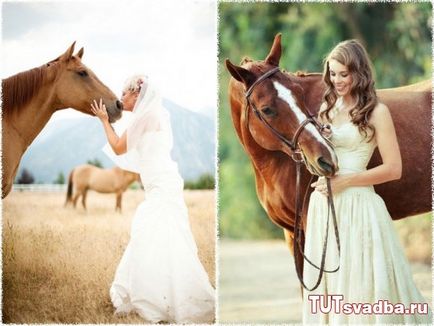 Сватбена фотосесия с коне - сватбен портал тук Сватба