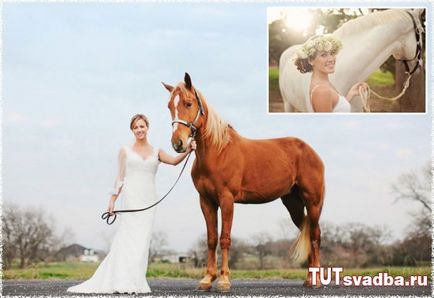 Сватбена фотосесия с коне - сватбен портал тук Сватба