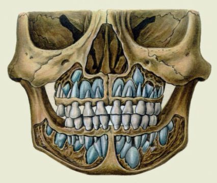 Шофиране Загуба на първичните зъби при деца, когато те започват да падат