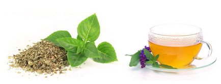Трева градински чай вода за уста - решение и рецепти
