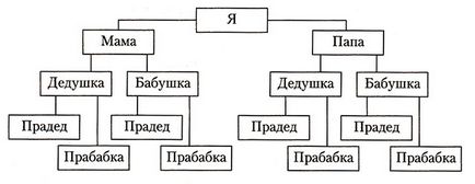 Научете как да се направи и боя родословие родословно дърво - преподавател за мама