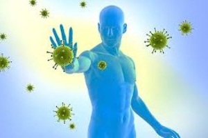Вируси в нашето тяло, тъй като нашата имунна система се бори вируса - човешкото здраве портал