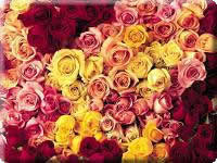Значение на цветя и розов цвят