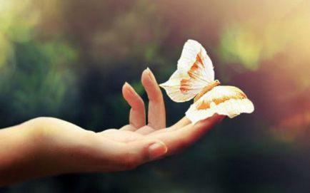 Butterfly като човек Butterfly като човек