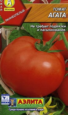 Когато разсадът да засадят домати