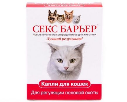 разгонване период на котката