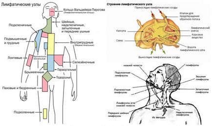 Възпалени лимфни възли отколкото лечение