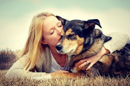 10 невероятни факти за взаимоотношенията ни с кучета - в света на интересен