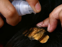 багрило измиване на косми от кожата (как да премахнете човек от пилинга с ръка)
